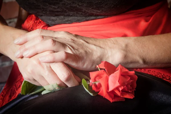 Czerwony kwiat róży w rękach kobiet — Zdjęcie stockowe