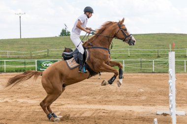 Horsemanin beyaz kahverengi at üstünde zıplıyor 