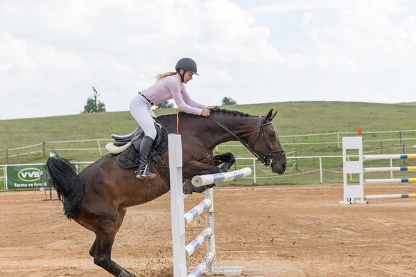 Cavallo bruno sta staccando un ostacolo — Foto Stock