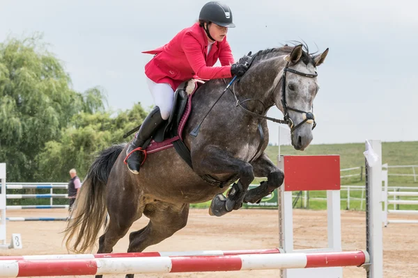 Horsewoman σε κόκκινο σακάκι είναι το άλμα ενός roan αλόγου — Φωτογραφία Αρχείου