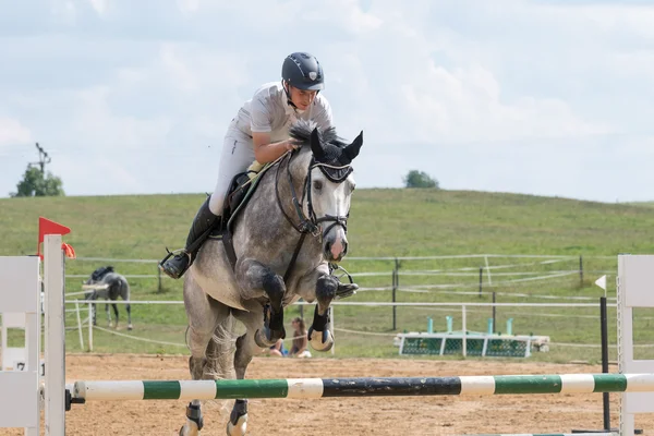 Vue de face d'un cavalier sautant un cheval roan — Photo