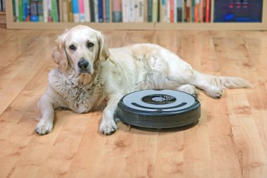 Beyaz köpek robot elektrik süpürgesi yanında yatıyor
