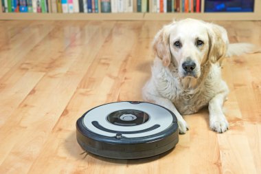 Köpek yanında elektrikli süpürge yalan söylüyor