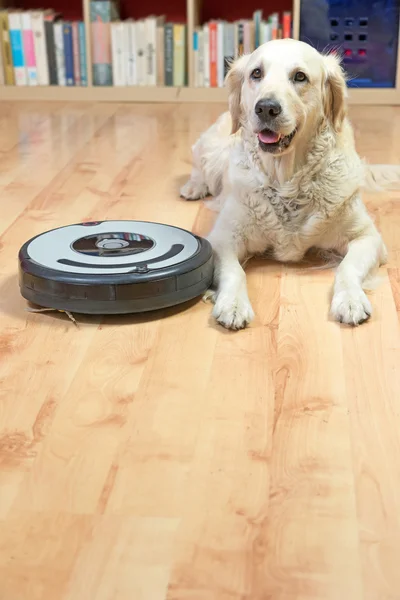 White dog and robotic vacuum cleaner. Vertically. — Stock Photo, Image