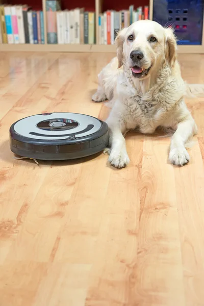 Beyaz köpek ve robot elektrik süpürgesi. Dikey olarak. 