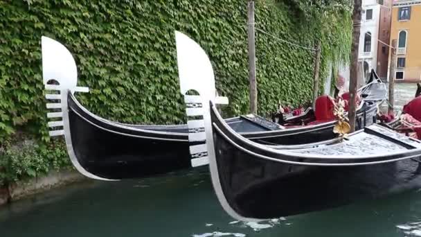 Two gondolas are bobbing on the waves — Stock Video