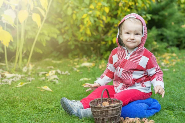 Netter Kleiner Junge Posiert Mit Weidenkorb Voller Walnüsse Herbstlichen Garten — Stockfoto