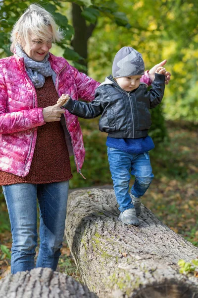 Young Grandmother Her Little Grandson Playing Together Autumn Park — Stock Photo, Image