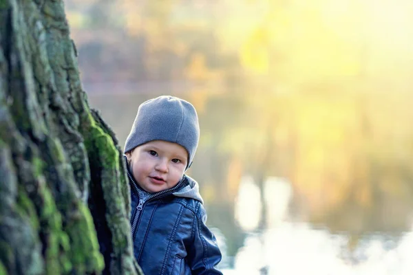 Liebenswerter Kleiner Junge Lugt Hinter Einem Baumstamm Ufer Eines Herbstweihers — Stockfoto