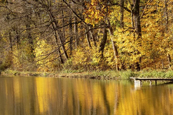 Paysage Automne Avec Bord Lac Arrière Plan Lumière Soleil Horizontalement — Photo