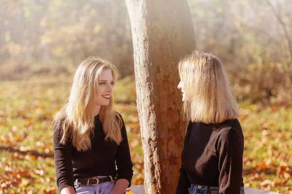 Couple Attractive Young Girls Talking Together Autumn Park Horizontally — Stock Photo, Image