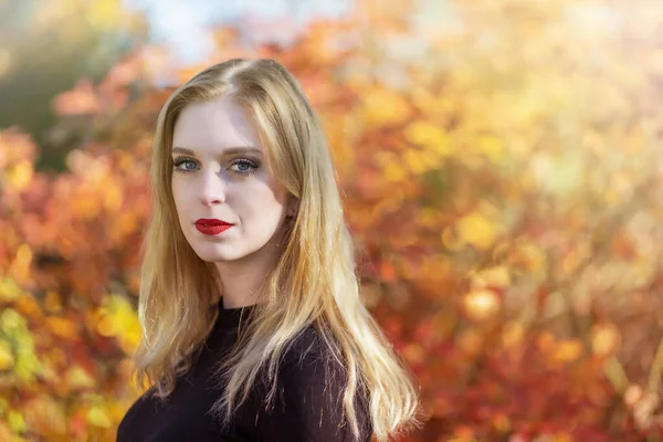Porträt Eines Attraktiven Mädchens Posiert Herbst Park Horizontal — Stockfoto