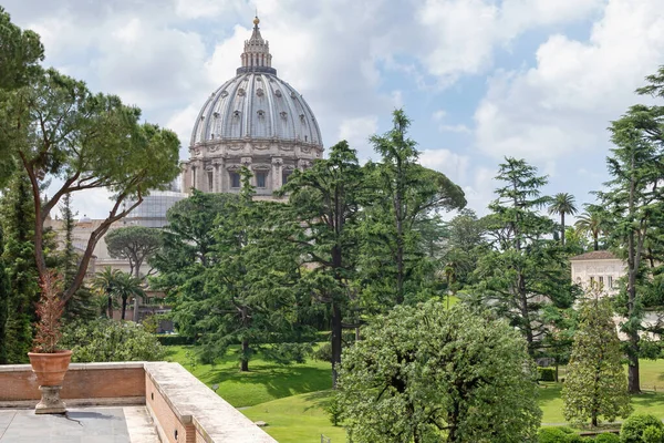 Widok Bazyliki Piotra Tarasu Ogrodach Watykańskich Watykan Rzym Włochy — Zdjęcie stockowe