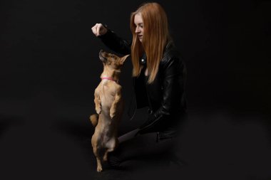 Kahverengi köpeğiyle oynayan genç kadının stüdyo portresi. Köpek iki ayak üzerinde duruyor. Yatay olarak. 