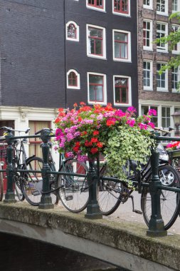 Amsterdam kanal üzerinden köprü