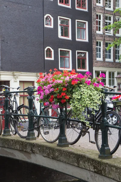 Brug over kanaal in amsterdam — Stockfoto