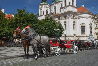 Atlı arabası turistler için hazır. (Prag, Çek Cumhuriyeti