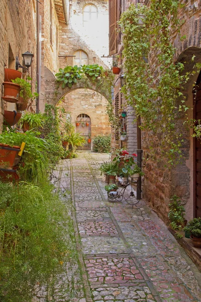 Romantische straat in het historische Italiaanse stad — Stockfoto