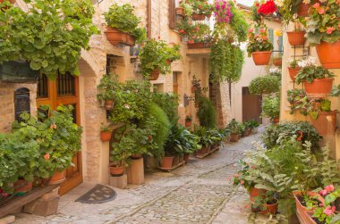 Şehir, Spello içinde (Umbria, İtalya sokak çiçek)