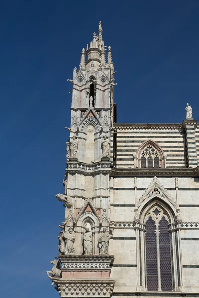 Zijaanzicht van de gotische kathedraal van Siena (Italië) — Stockfoto