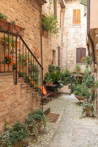 Plants and flowers in the historic Italian city. (Spello, Umbria, Italy.) Vertically.