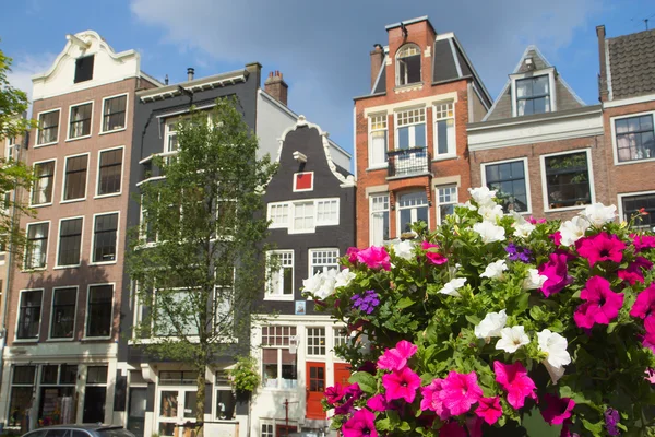 Huizen in Amsterdam met bloemen op de voorgrond — Stockfoto