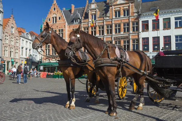 Carrozza trainata da cavalli a Bruges — Foto Stock
