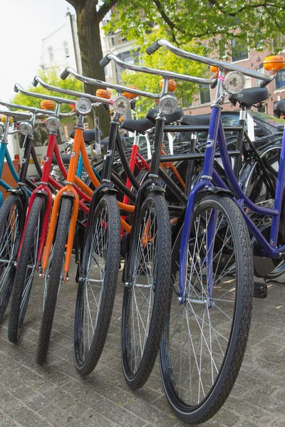 Färg cyklar i Amsterdam — Stockfoto