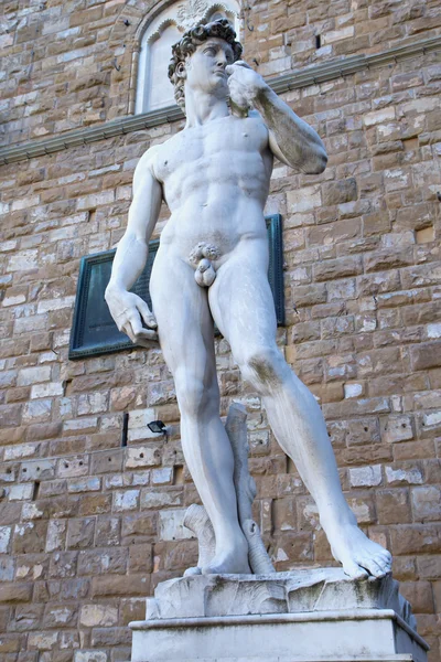 Veduta generale della statua di Davide a Firenze — Foto Stock