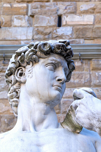 The side view of the David sculpture head in Florence