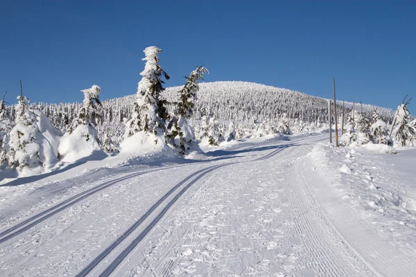 Camino de esquí de fondo está listo — Foto de Stock