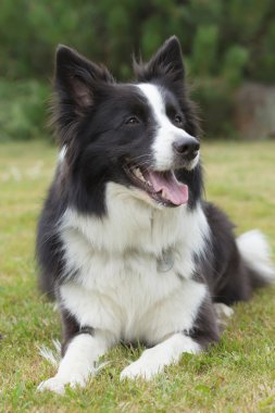 kenar kömür ocağı