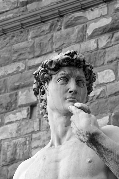 Zwart-wit David sculptuur in Florence — Stockfoto