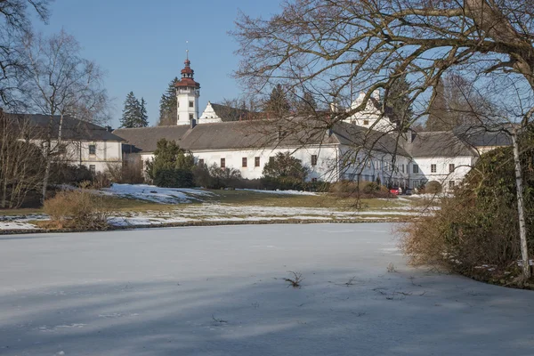 Castelo Velke Losiny com uma lagoa congelada no parque — Fotografia de Stock