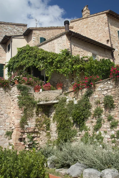 Antigua casa de piedra con plantas y flores — Foto de Stock