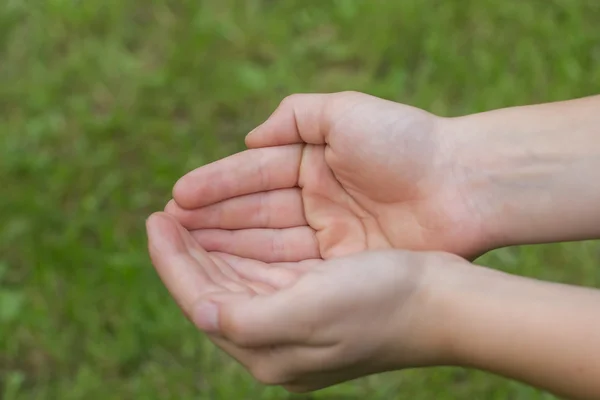 Le mani del bambino con palme strette . — Foto Stock