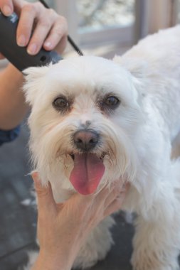 makine bakım ile Malta damat