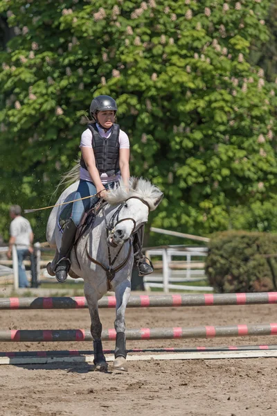 Young horsewoman with back protector is jumping — Stock Photo, Image