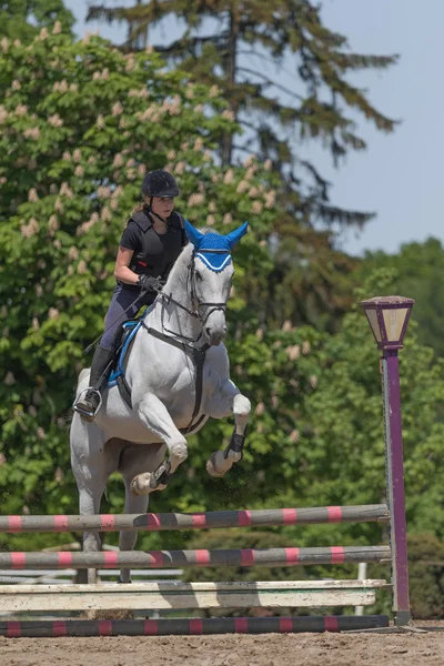 Young horsewoman in black on the white horse — Stock Photo, Image