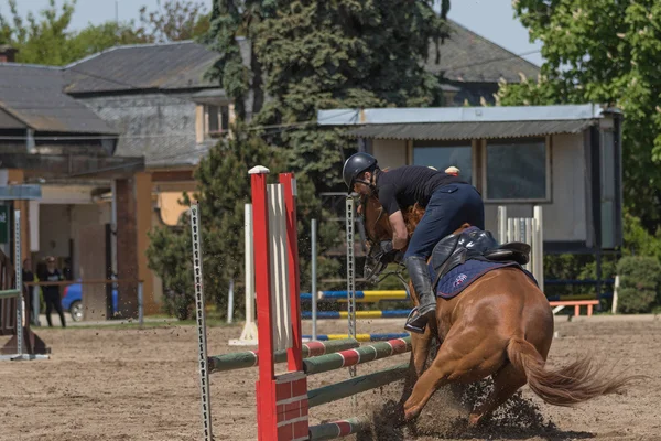 Het paard weigert te springen obstakel — Stockfoto