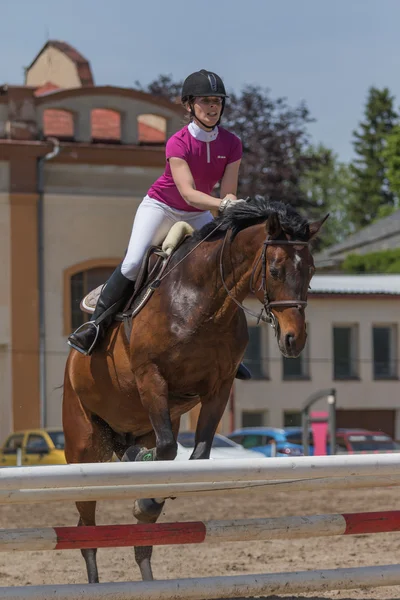 Young horsewoman in action. Vertically. — Stock Photo, Image