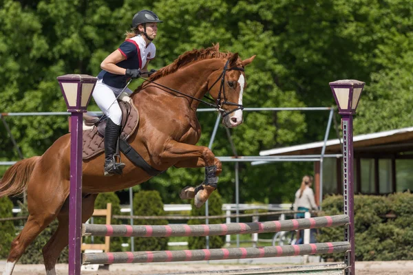 Vista laterale di horsewoman che salta un cavallo marrone — Foto Stock