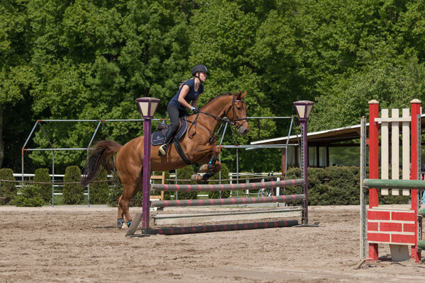 Young horsewoman is jumping at equestrian race