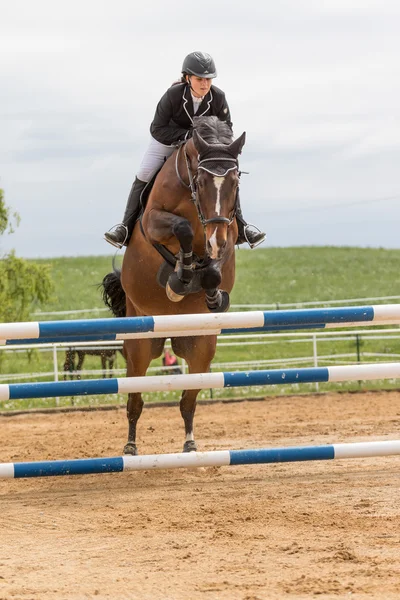 La mujer de caballo está saltando por encima del obstáculo. Verticalmente . —  Fotos de Stock