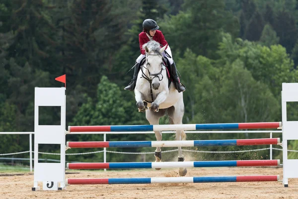 Jonge Amazone in rood jasje op een wit paard — Stockfoto