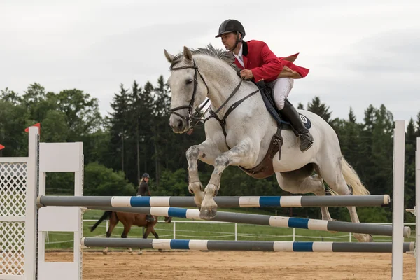 Vista de cerca del jinete con chaqueta roja sobre un caballo blanco — Foto de Stock