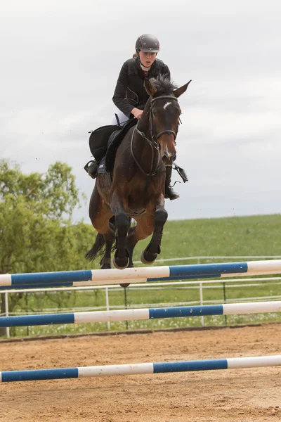 Closeup view of beautiful horsewoman on a brown horse — Stock Photo, Image