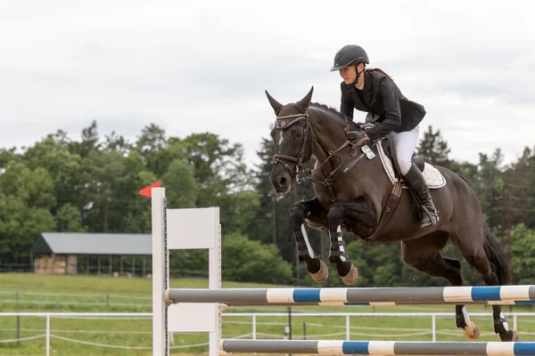 Joven jinete está saltando en caballo marrón oscuro —  Fotos de Stock
