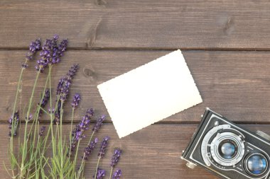 Lavanta, vintage fotoğraf ve eski fotoğraf makinesi