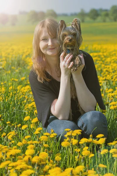 Young woman is holding Yorkshire terrier puppy — Stock Photo, Image